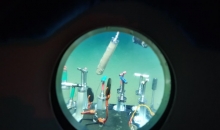 6000米以下深海生物如何“抗压”？我国科学家首次揭秘