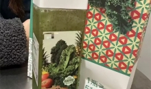 羽衣甘蓝饮品爆火！医生提醒：这些人要慎喝