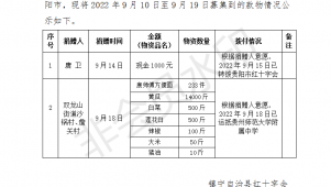 镇宁自治县红十字会为贵阳市新冠肺炎疫情防控捐赠款物情况公示